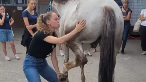 Cheval